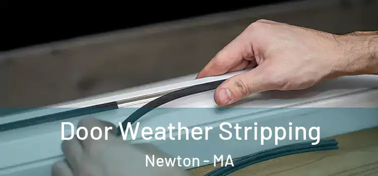 Door Weather Stripping Newton - MA