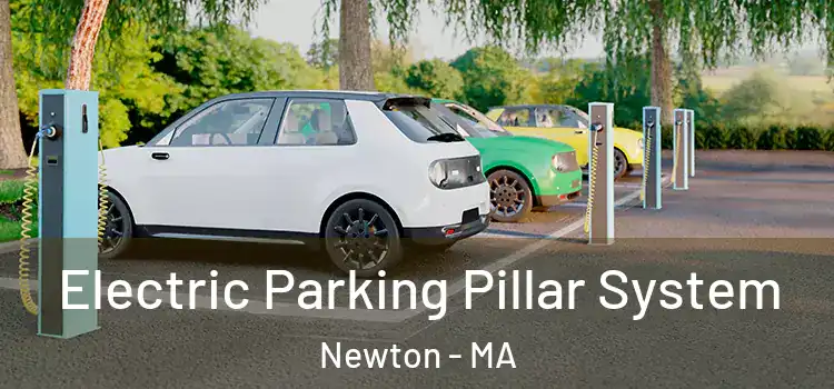  Electric Parking Pillar System Newton - MA
