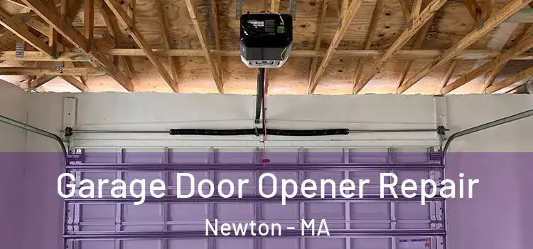  Garage Door Opener Repair Newton - MA