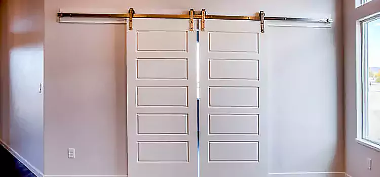 Glass Barn Door with Installation Hardware Kit Newton
